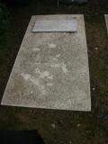 image of grave number 595868